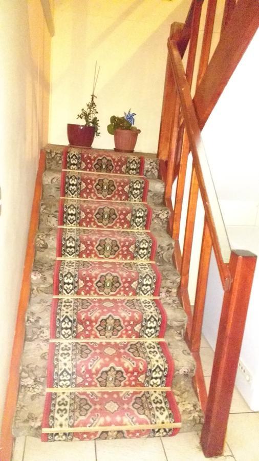 Hostal El Toque De Pilar Punta Arenas Esterno foto